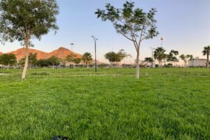 حديقة الملك عبدالله الطائف