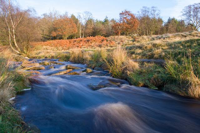 National Trust Longshaw Estate