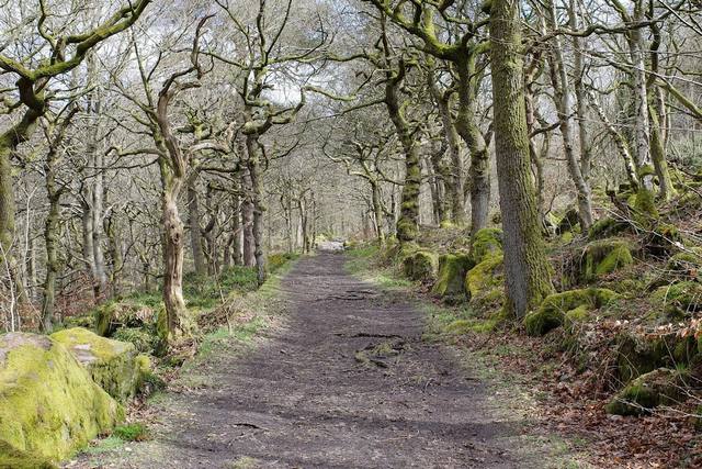 National Trust Longshaw Estate