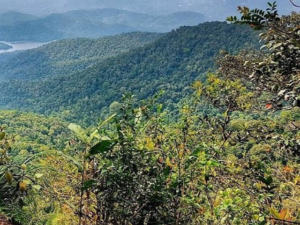 جبل نوانغ سيلانجور - Mount Nuang Selangor