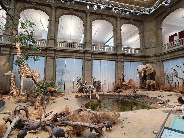 متحف كونيغ في بون - best things to do in Bonn
