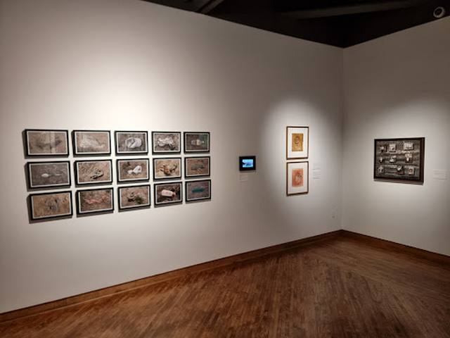 متحف فن أمريكا اللاتينية في لوس انجلوس _ Museum of Latin American Art Los Angeles