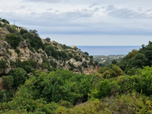 غابة ميلي جورج كريت - Myli Gorge Forest Crete