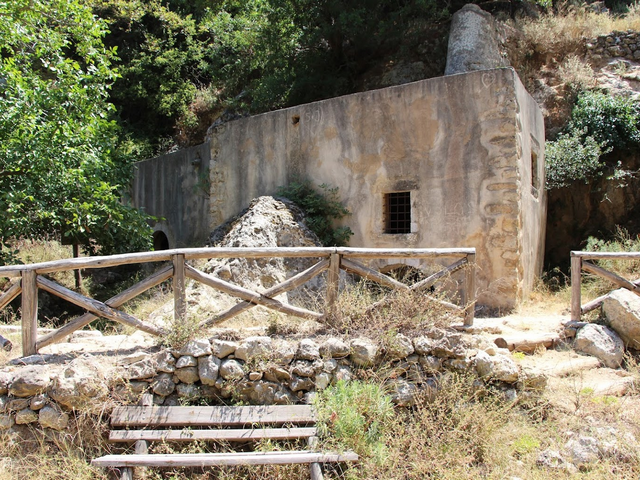 Myli Gorge Forest in Crete