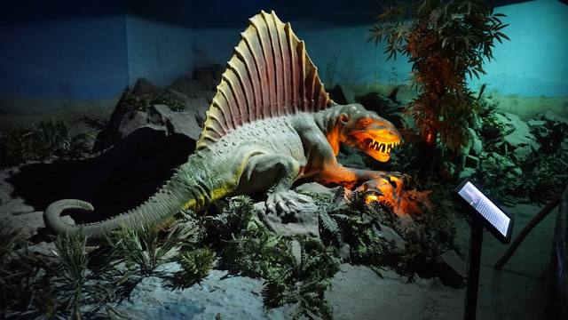 National Science Centre New Delhi