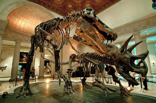 best things to do in Los Angeles