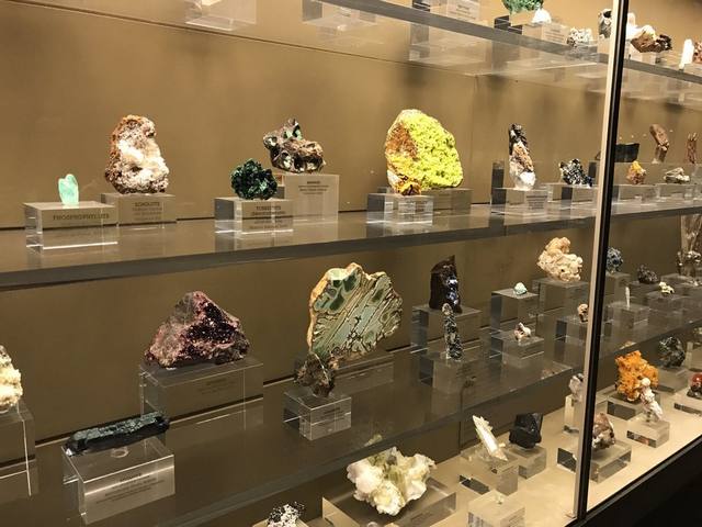 Natural History Museum of Los Angeles County