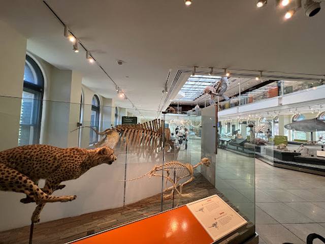 Natural History Museum of Los Angeles County