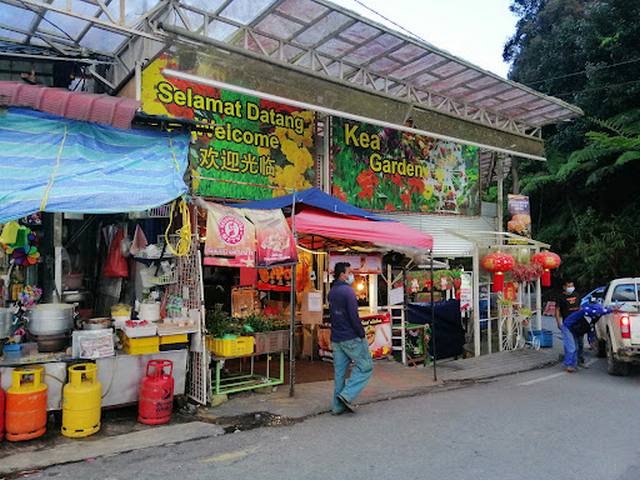 best things to do in Cameron Highlands