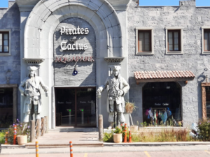بايرتس إن ذا كاكتوس أكوابارك بودروم - Pirates Inn The Cactus Aquapark Bodrum