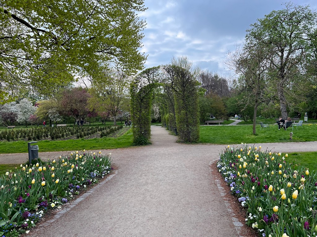 Rose Garden Munich