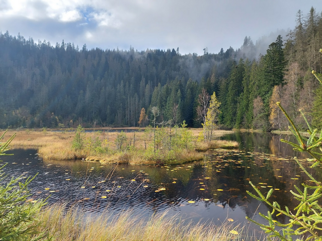 Schwarzwald National Park Baden Baden