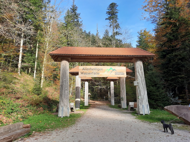 Schwarzwald National Park Baden Baden