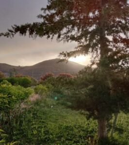 منتزه غابة شهبة الباحة