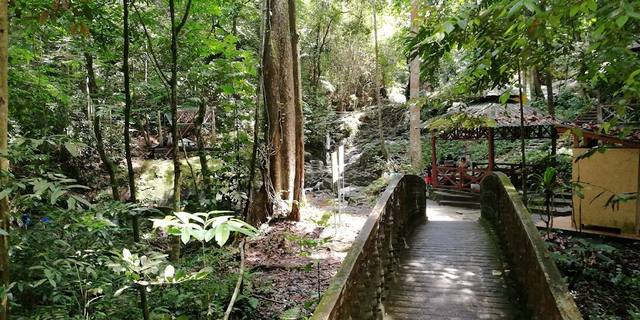 Sungai Tekala Recreational Forest Selangor