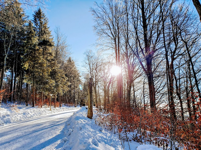 Uetliberg Mountain
