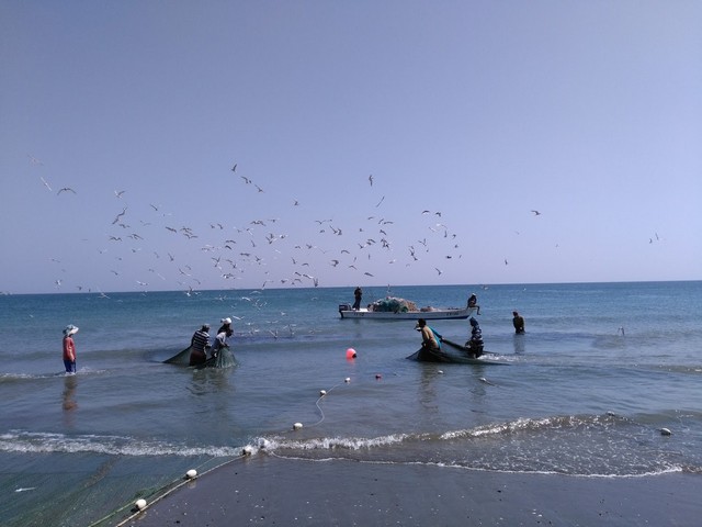 Umbrella Beach in Fujairah