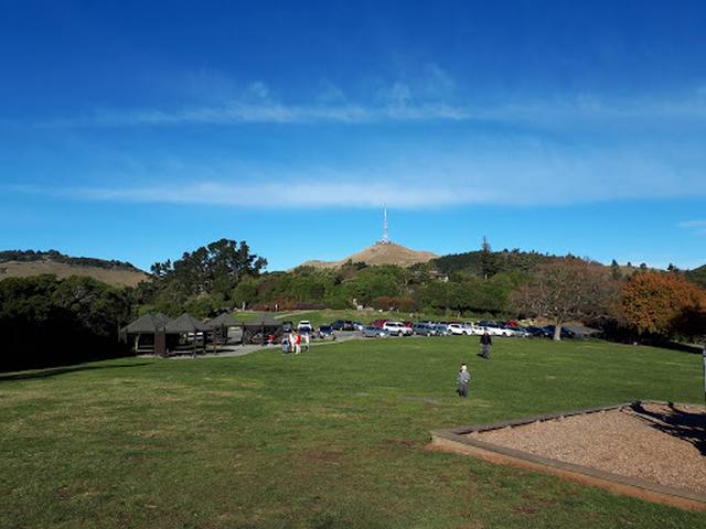 غابة فيكتوريا في كرايستشرش - best things to do in Christchurch