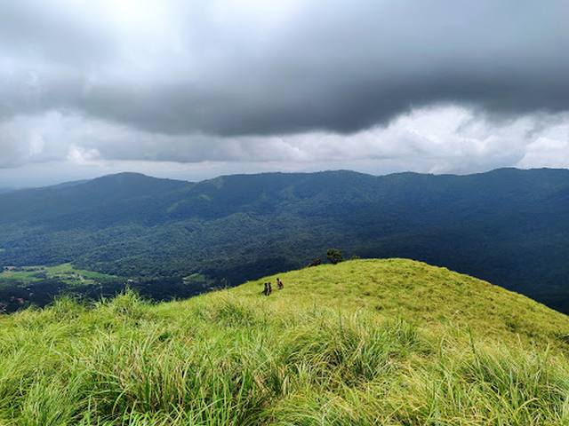 Wayanad Safari Kerala