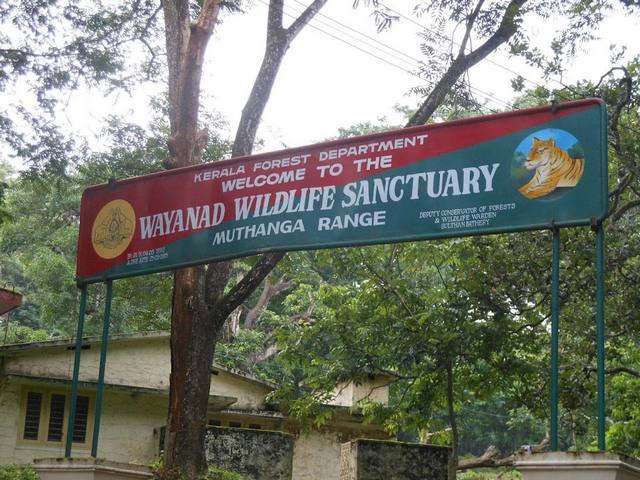 Wayanad Safari Kerala