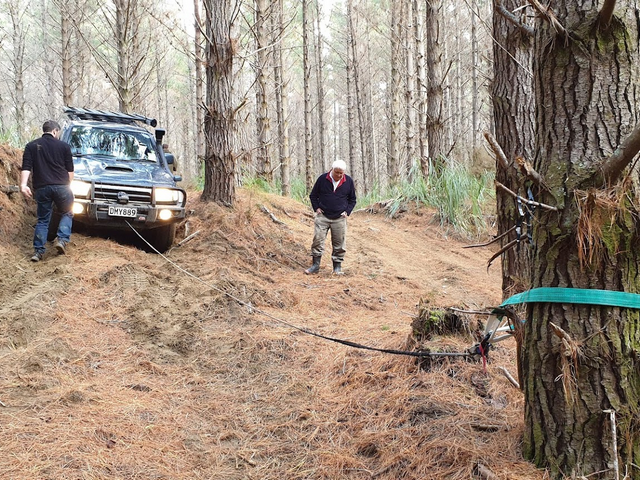 Woodhill Forest Auckland