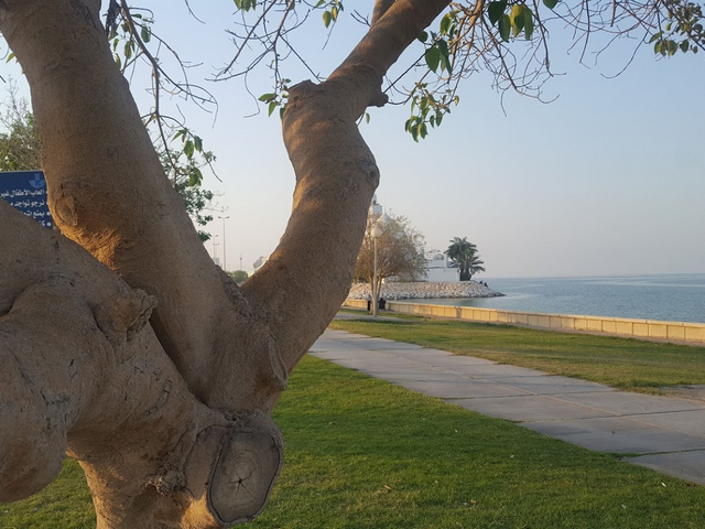 شاطئ العزيزية في الخبر