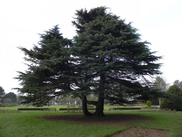 Cutteslowe and Sunnymead Park Oxford