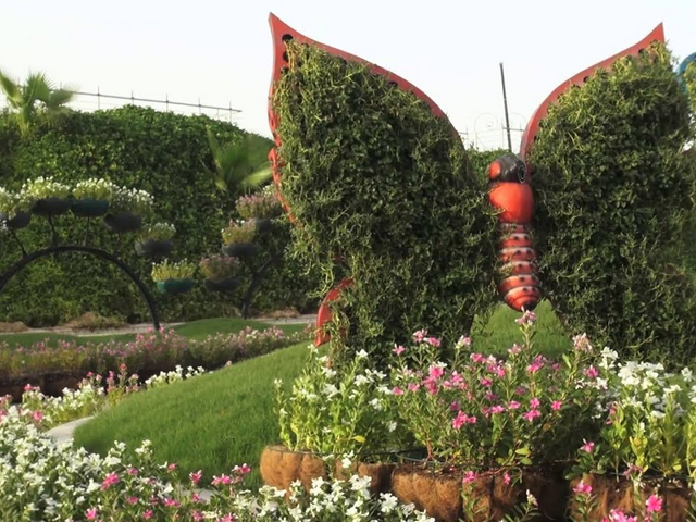 Dubai Butterfly Garden