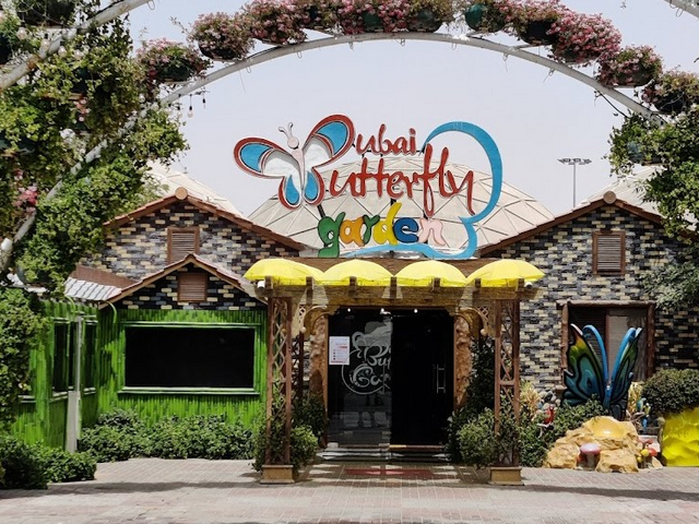 Dubai Butterfly Garden