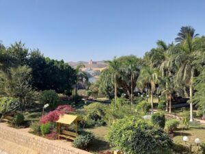 جزيرة النباتات باسوان