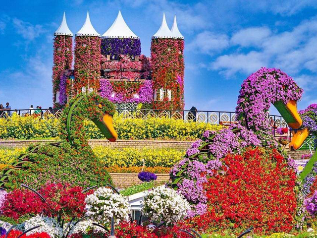 Miracle Garden in Dubai
