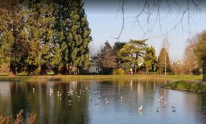 حديقة هينكسي اكسفورد - Hinksey Park