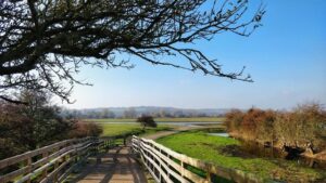 حديقة بورت ميدو اكسفورد - Port Meadow Oxford
