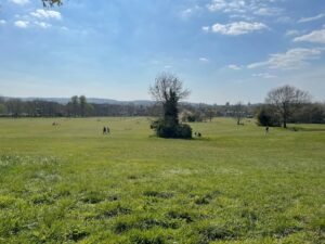 حديقة ساوث اكسفورد - South Park Oxford