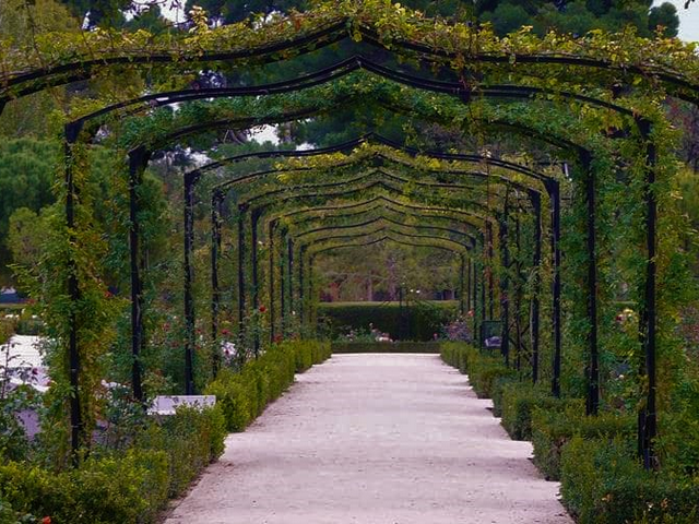 El Retiro Park in Madrid