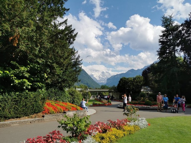 Hohematte Park - حديقة هوماتي انترلاكن