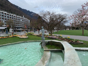 حدائق انترلاكن افضل حدائق انترلاكن افضل الحدائق في انترلاكن - Hohematte Park