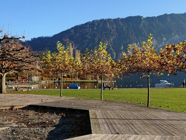 famous parks in Interlaken