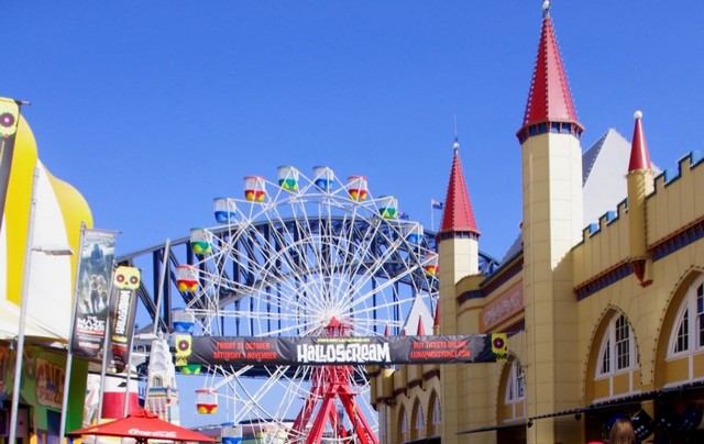 fun things to do in Sydney Australia