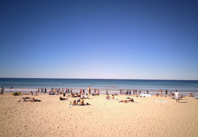 Shelly Beach Sydney