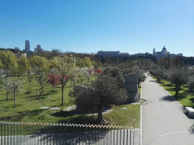 things to do in Madrid for families