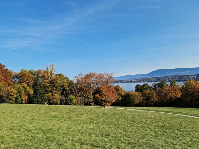 حديقة دي لاريانا في جنيف _ Ariana Park Geneva