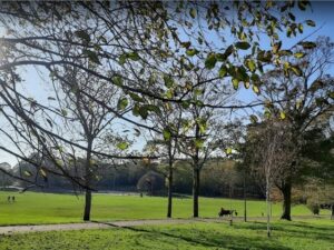 حديقة هوف برايتون - best attractions in Brighton for families