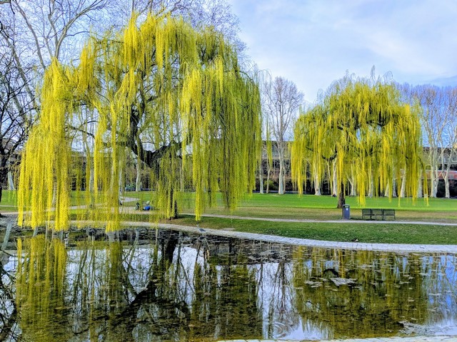 Unterer Schlossgarten