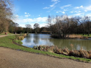 Middleton Park