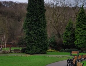 حديقة ميلهاوسيز شيفيلد _ Millhouses Park