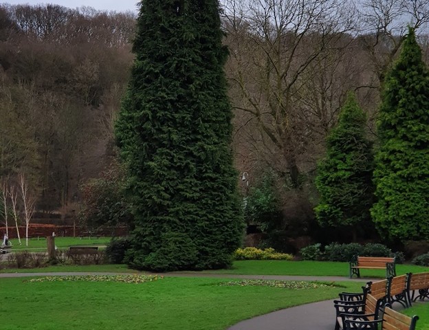 حديقة ميلهاوسيز شيفيلد _ Millhouses Garden