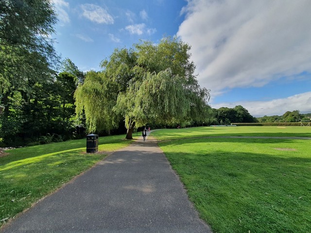 things to do in Sheffield for families