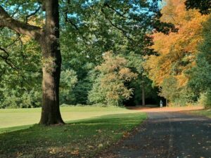 حديقة نورفولك التراثية شيفيلد _ Norfolk Park