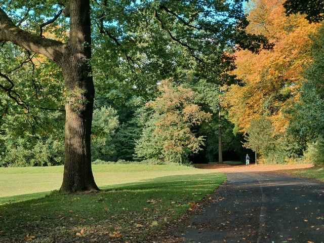 حديقة نورفولك التراثية شيفيلد _ Norfolk Heritage Park